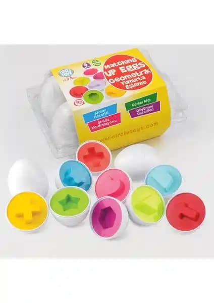 Circle Toys Geometrik Yumurta Eşleme Oyunu Çocukların Gelişimine Katkı Sağlayan Eğitici Oyuncak