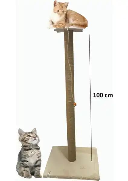 Kedi Tırmalama Tahtası ve Kuleleri Karşılaştırması: Hangi Ürün Daha Uygun