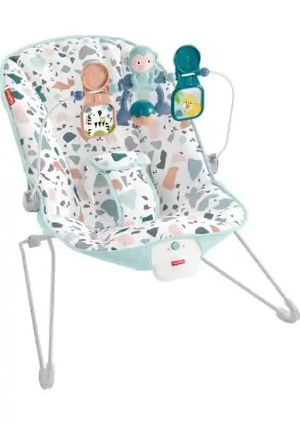 Fisher-Price Safari Ana Kucağı vs Kanz Flamingo Elektrikli Ana Kucağı Karşılaştırması