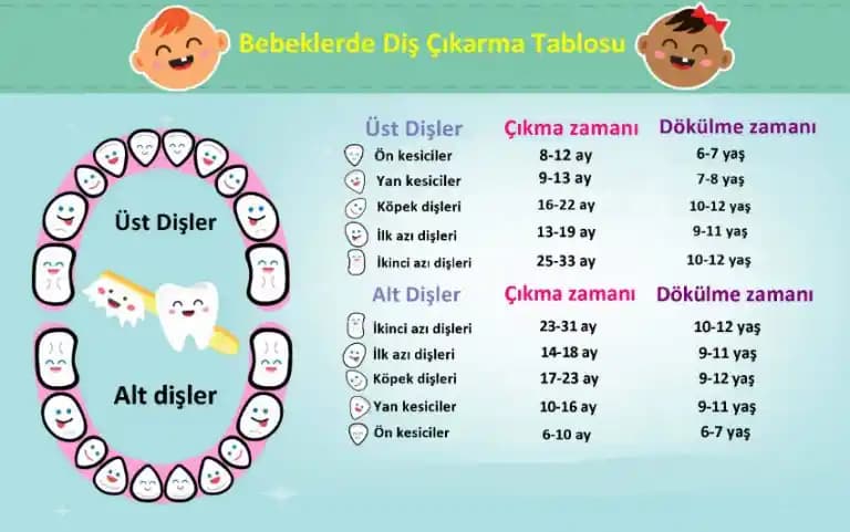 Bebeklerde Diş Çıkarma Sürecinde Halkaların Güvenliği ve Seçim Kriterleri